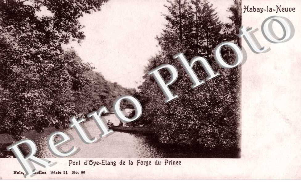 Pont de l'Oye-Etang de la Forge du prince