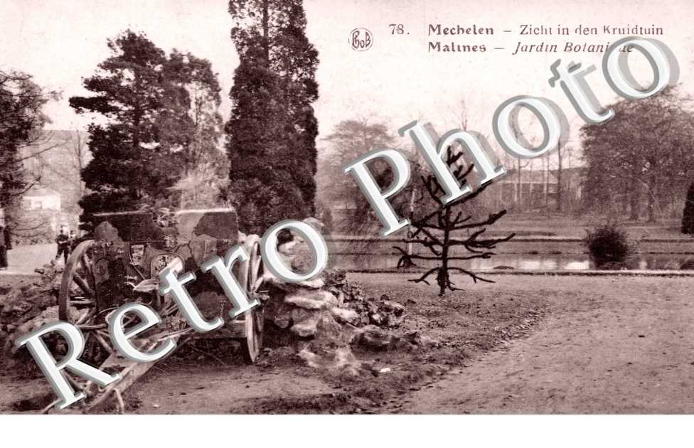 Jardin Botanique
