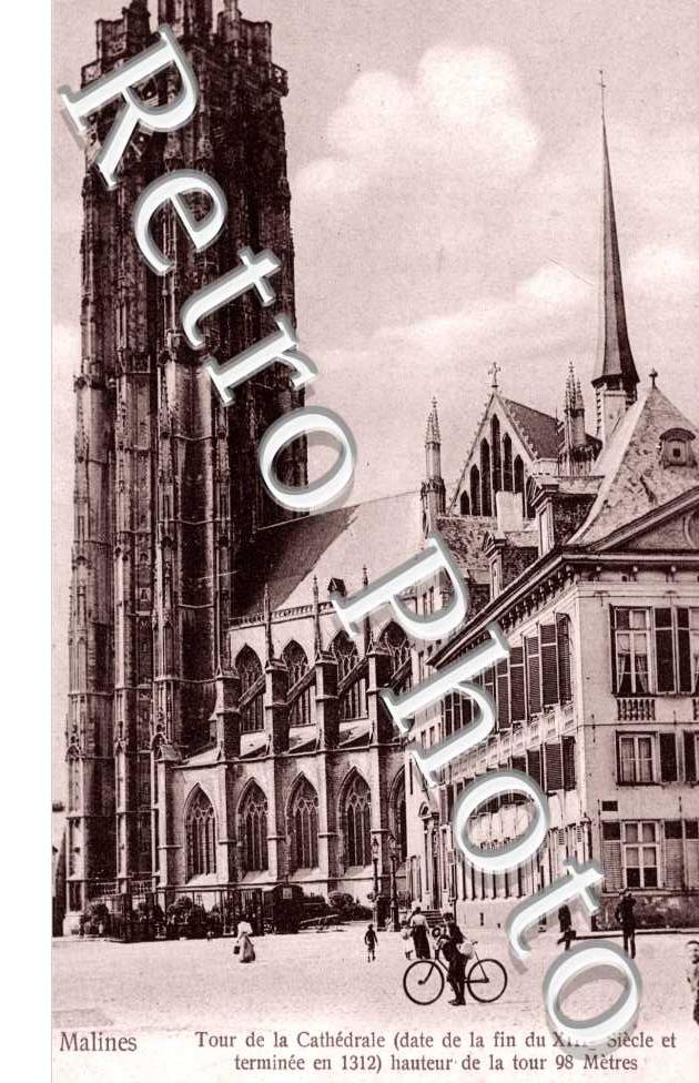 Cathedrale