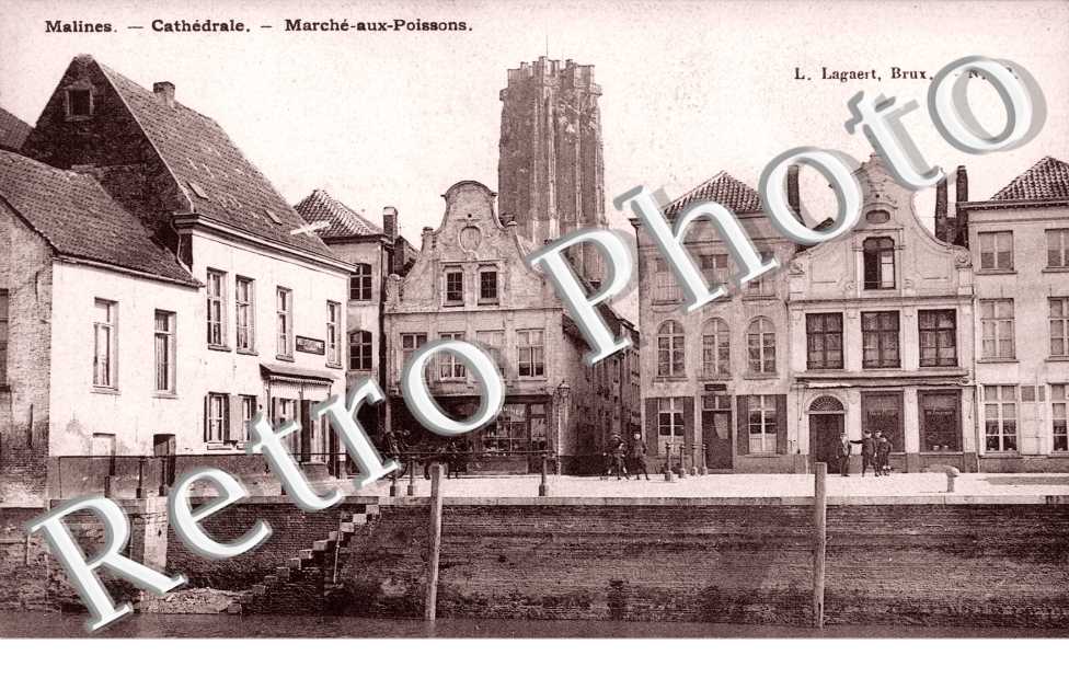 Cathedrale, Marche aux Poissons