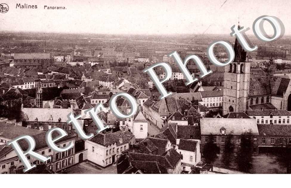 Panorama
