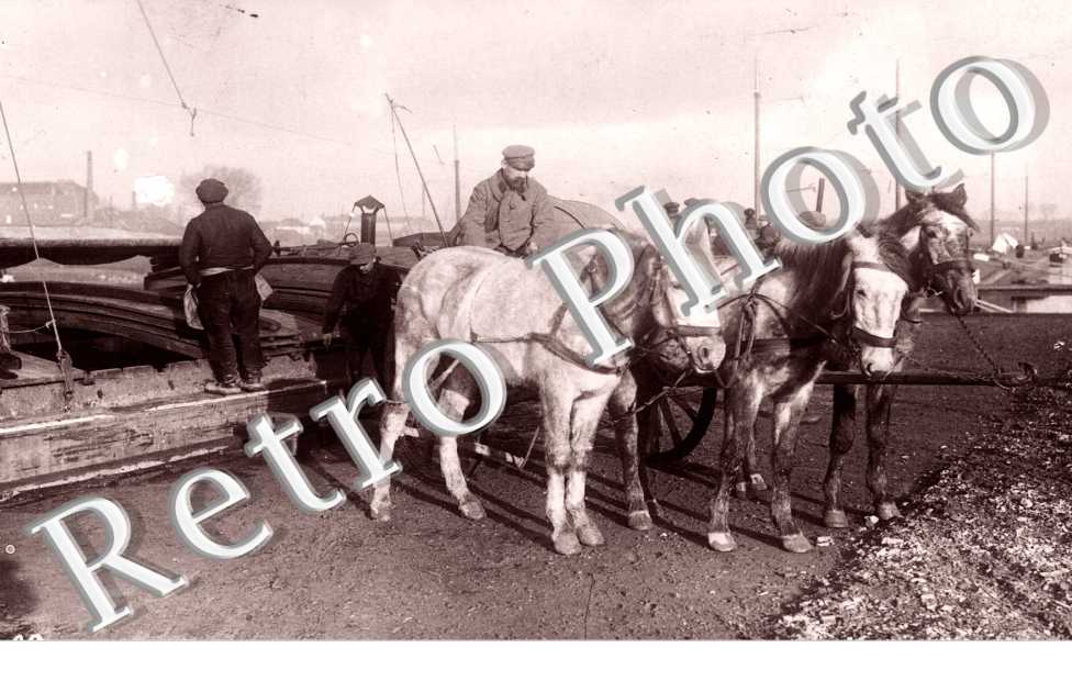 les Quais et des chevaux atteles