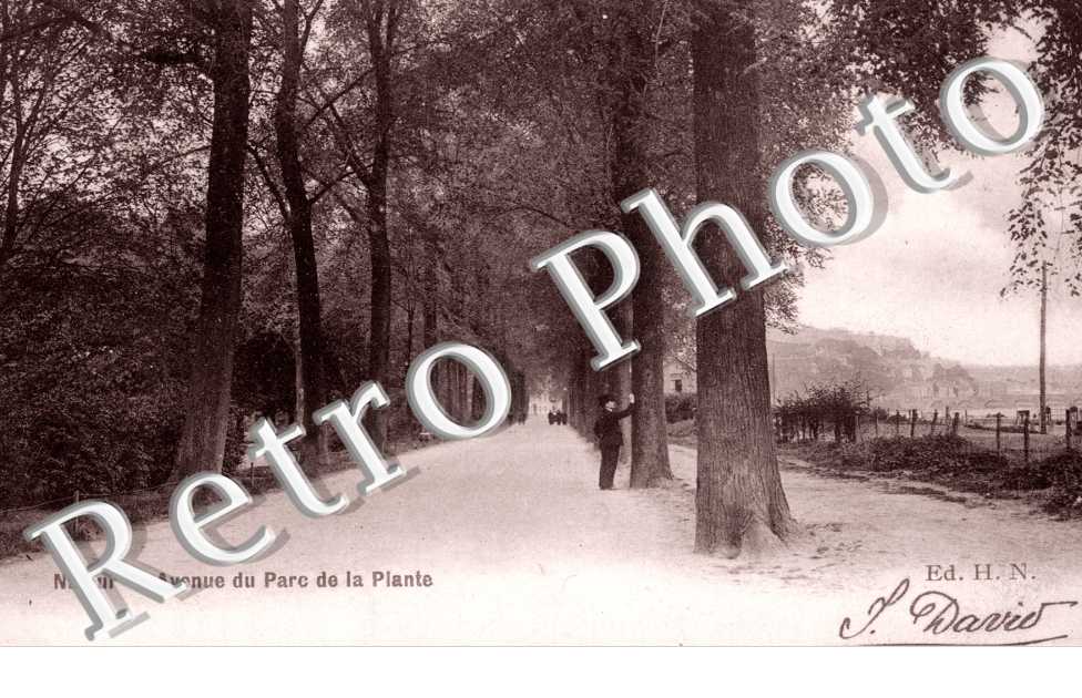 Avenue de Parc de la Palnte
