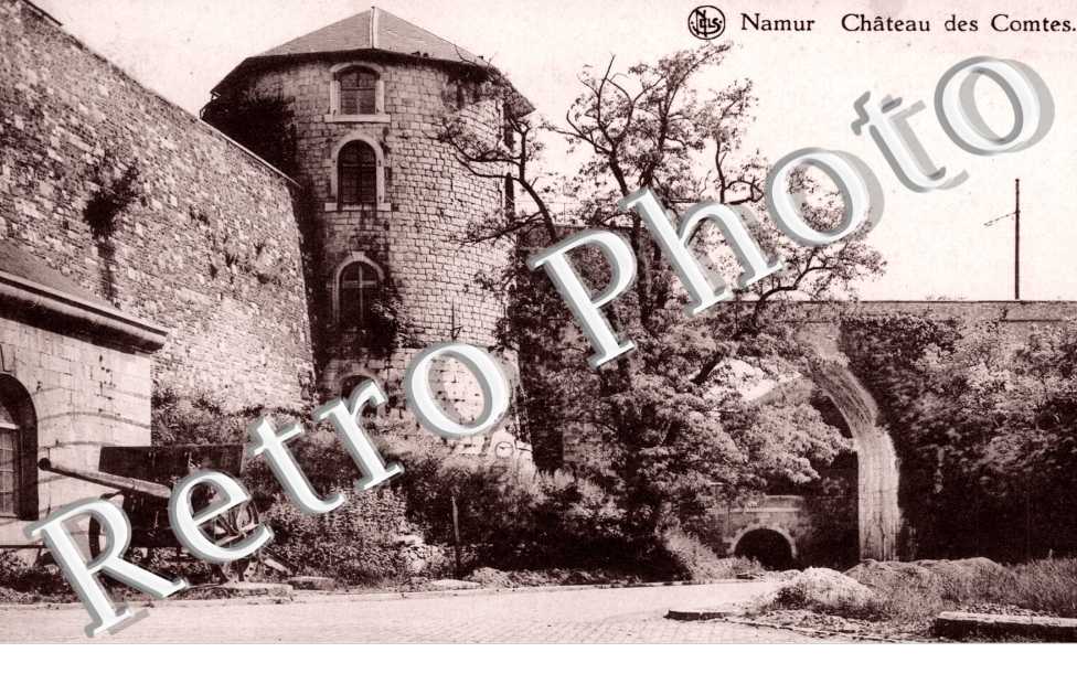 Chateau des Comtes