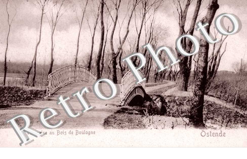vue prise au Bois de Boulogne 