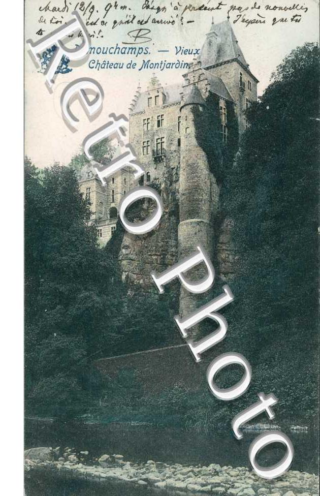 Vieux Chateau de Montjardins