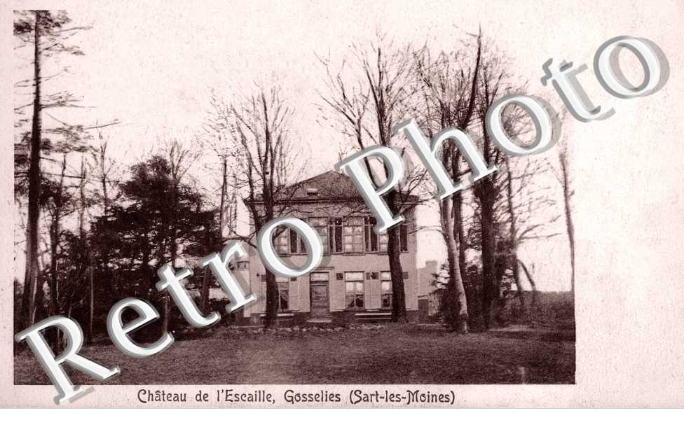 Chateau de l'Escaille, Gosselies