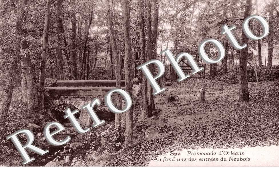  Promenade d&#039;Orleans, Au fond une des entrees du Neubois