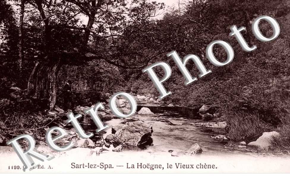 la hoëgne - le Vieux Chene