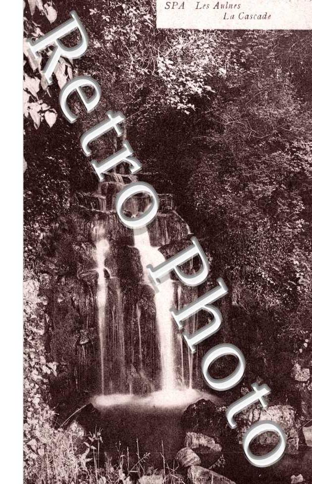 Les Aulnes - la Cascade
