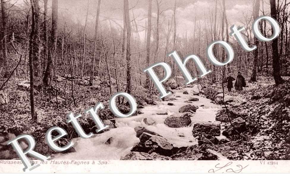 Ruisseau dans les Hautes Fagnes