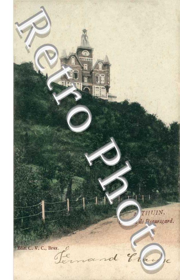 Chateau de Beauregard