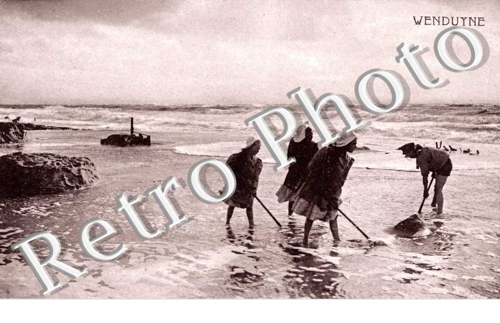 Phe au Filet sur la Plage