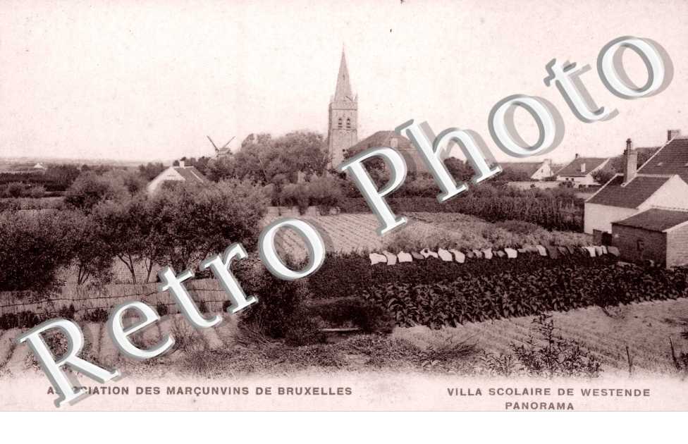 Association des Marcunvins de Bruxelles, Villa scolaire de Westende, Panorama