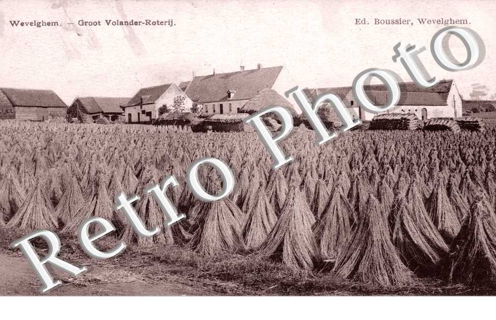 Groot Volander-Roterij