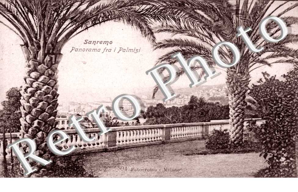 Panorama fra i Palmizi