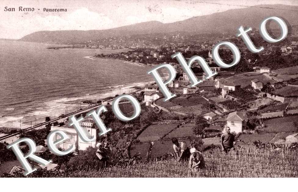 Panorama