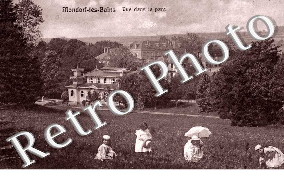 Vue dans le Parc