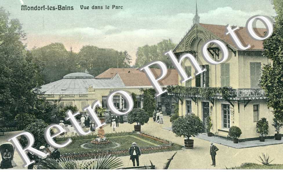 Vue dans le Parc