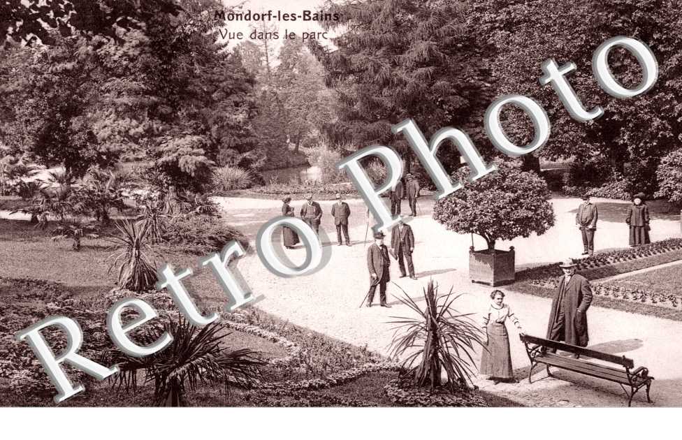 Vue dans le Parc