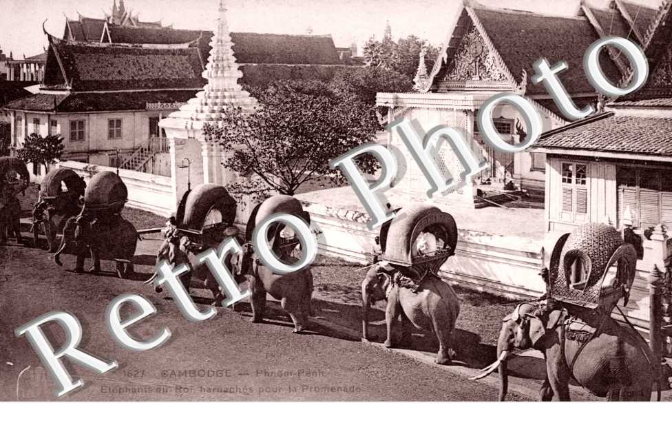 Elephants du Roi harnaches pour la promenade