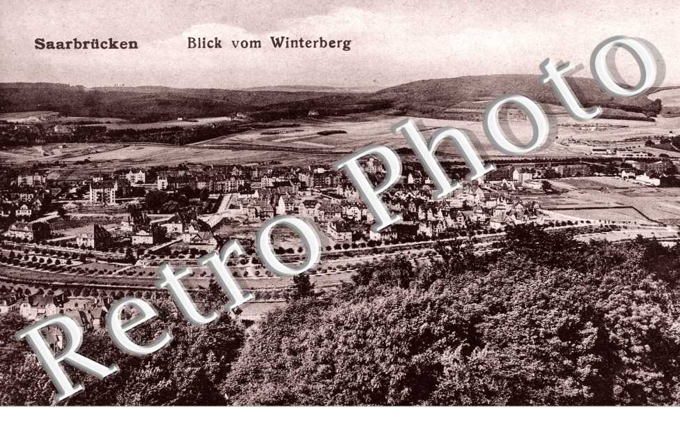 Blick vom Winterberg