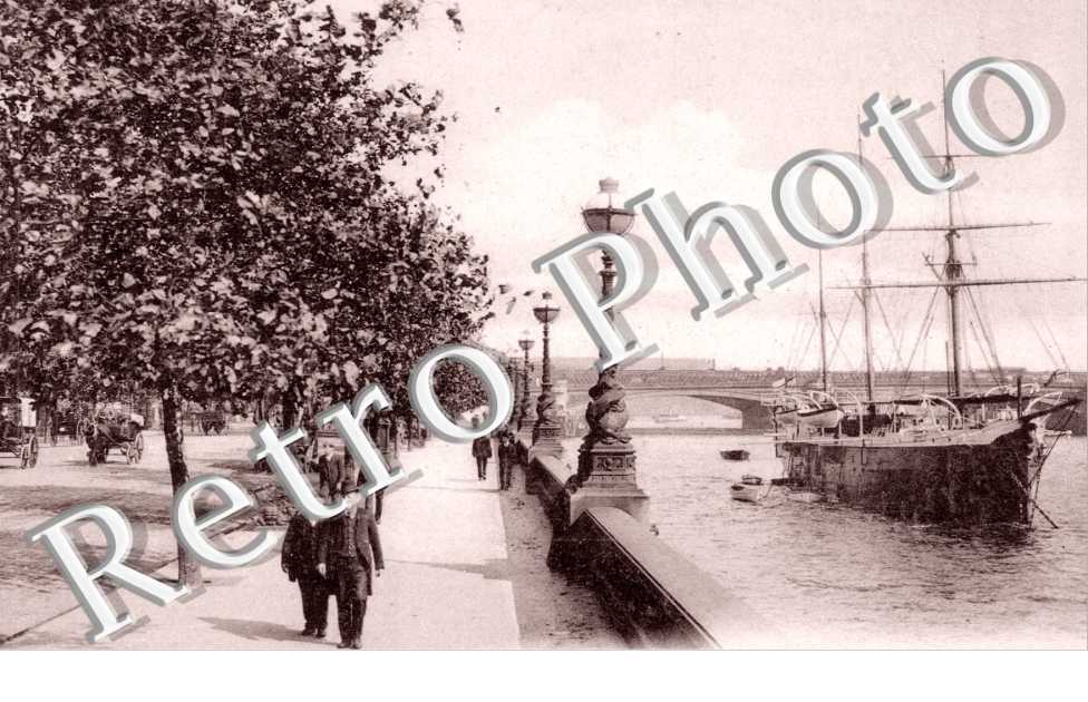 Buzzard and Victoria Embankment