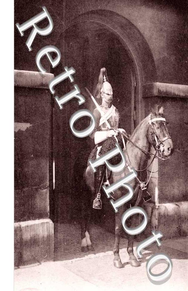 a Horse Guard
