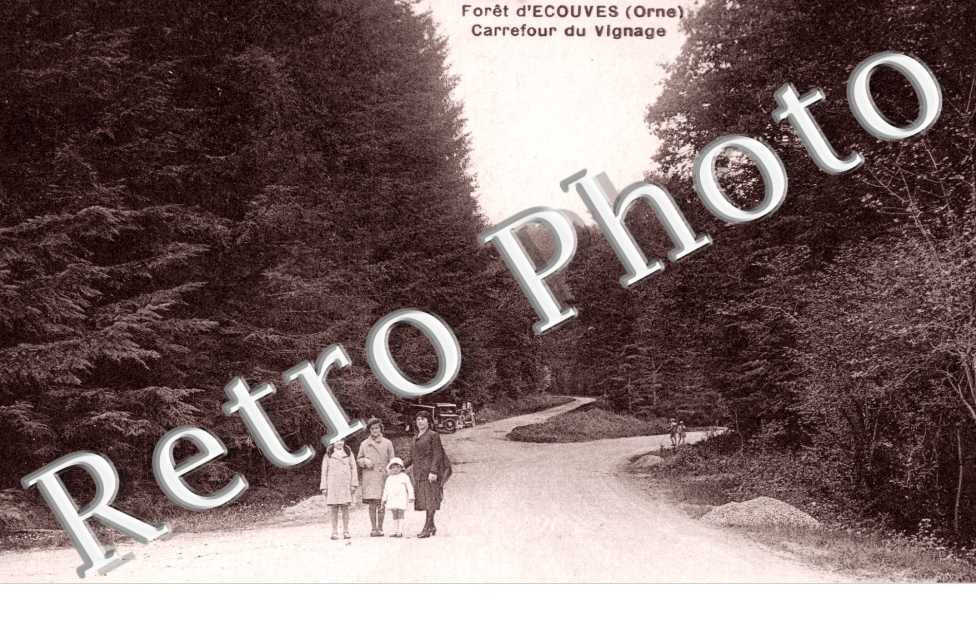Foret d&#039;Ecouves, Carrefour du Vignage