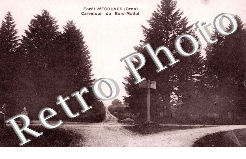 Foret d&#039;Ecouves Carrefour du Bois-Maliet