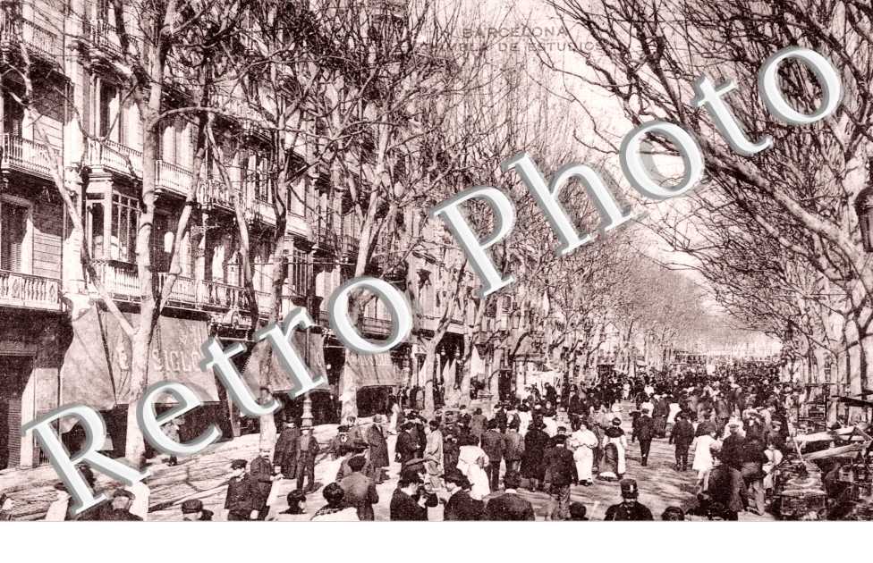 Rambla de estudios