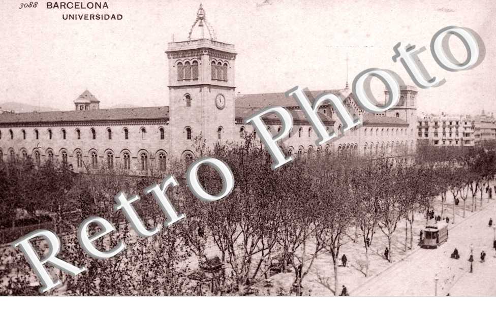 Universidad