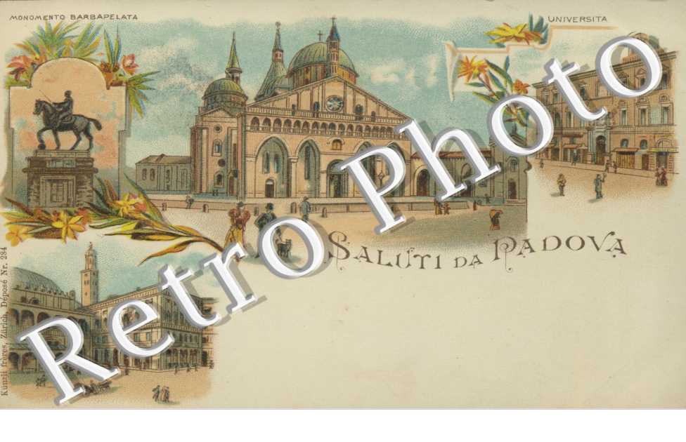 universita