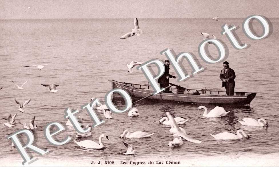 Les Cygnes du lac, canoe