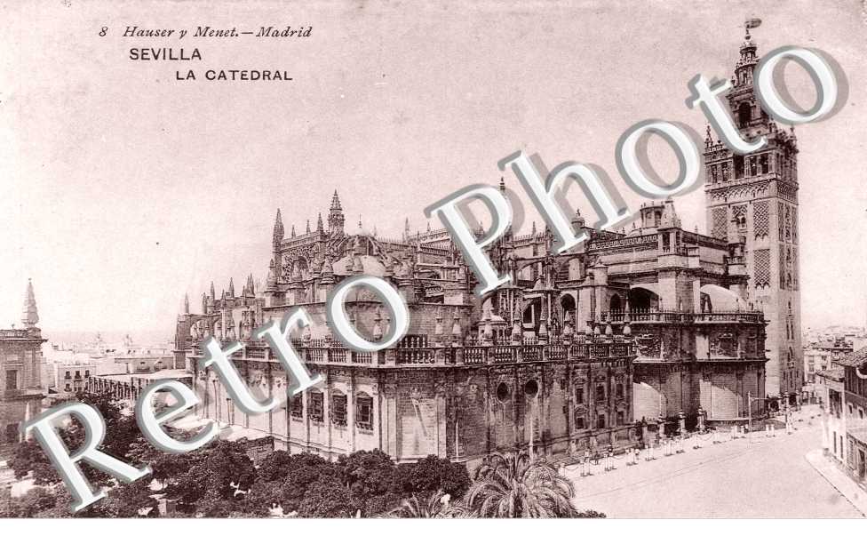 la Catedral