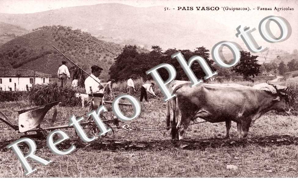 Faenas Agricolas