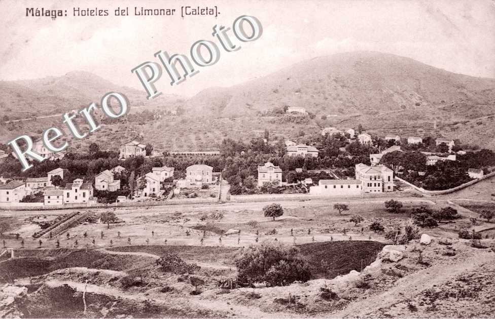 Hoteles del Limonar