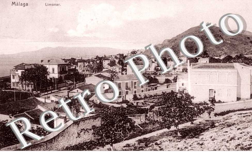 Limonar. Vista general