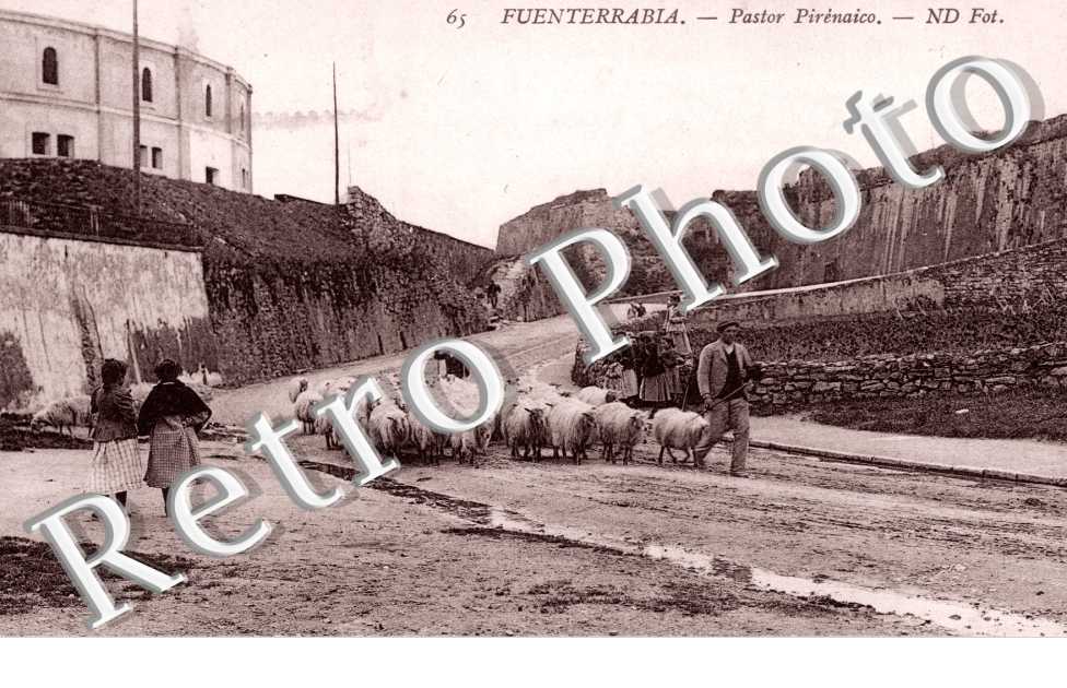 Pastor Pirenaico