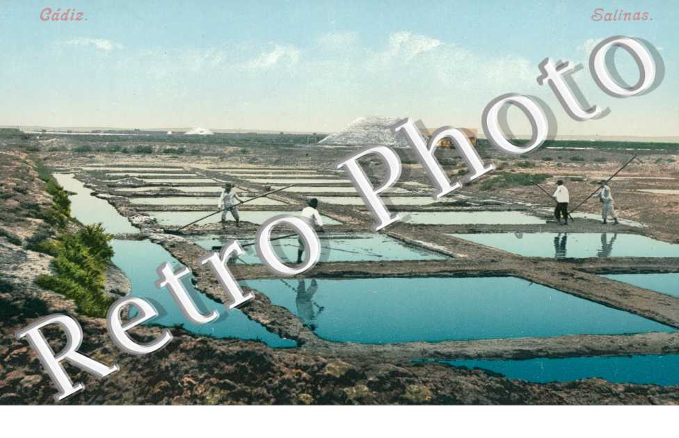 Salinas