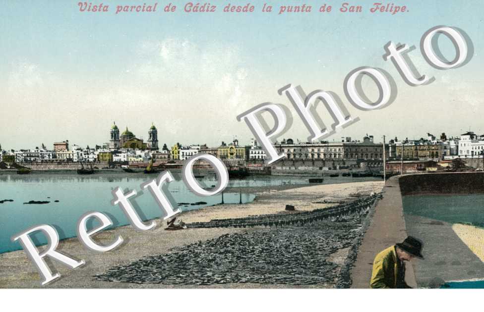 Vista Parcial