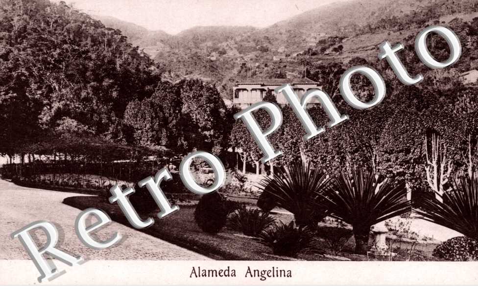 Alameda Angelina