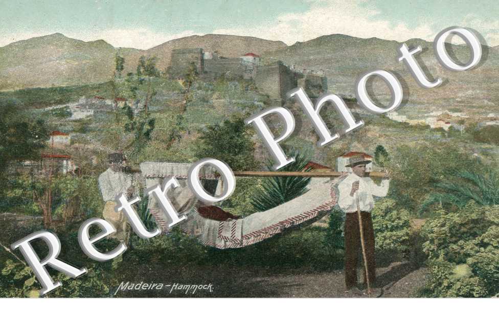 Hammock