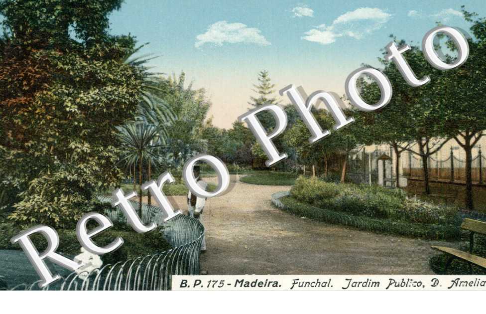 Jardim Publico D. Amelia