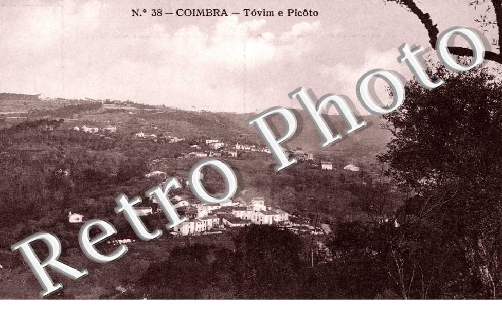 Tovim e Picoto