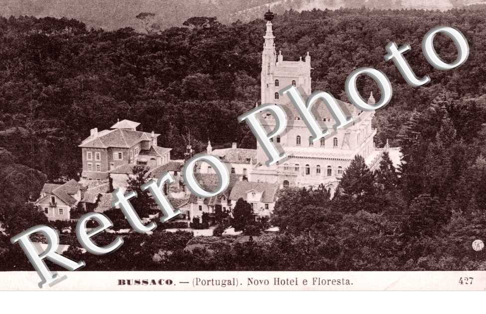 Novo Hotel e floresta