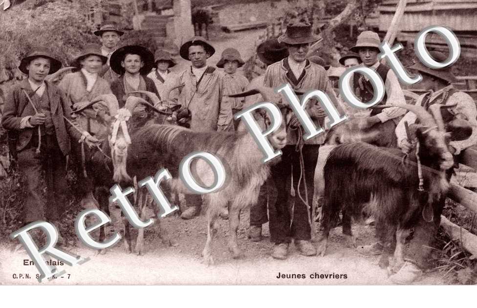 jeunes chevriers
