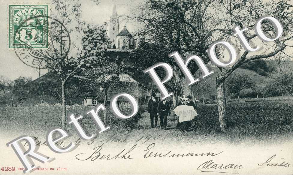 Vue générale 