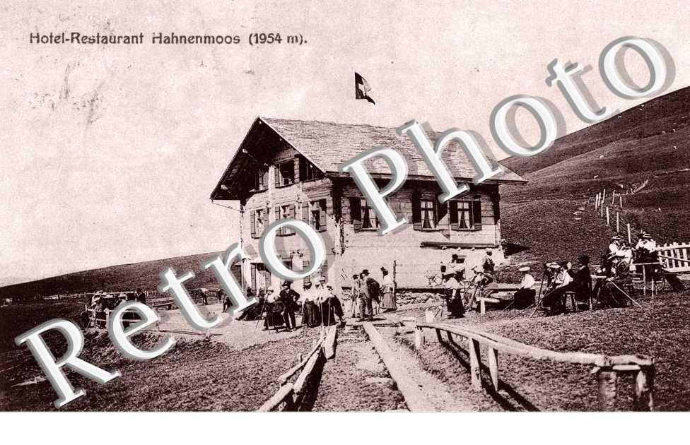 Restaurant - hotel Hahnenmoos