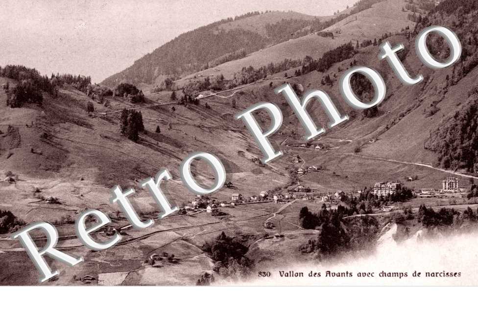 Val des Avants avec champs de narcisses